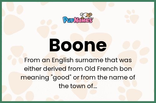 Boone dog name meaning