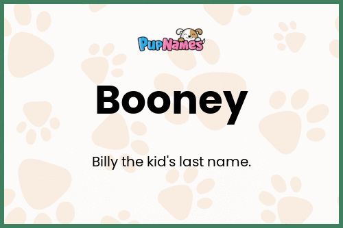 Booney dog name meaning