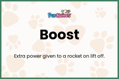 Boost dog name meaning