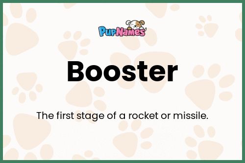 Booster dog name meaning