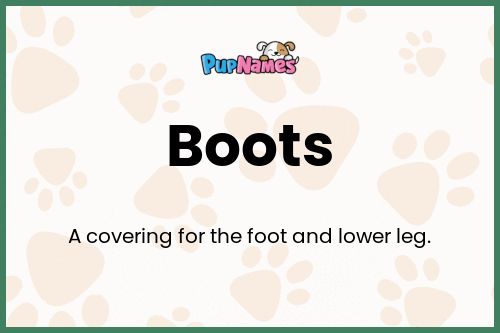 Boots dog name meaning