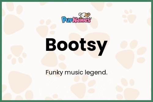 Bootsy dog name meaning