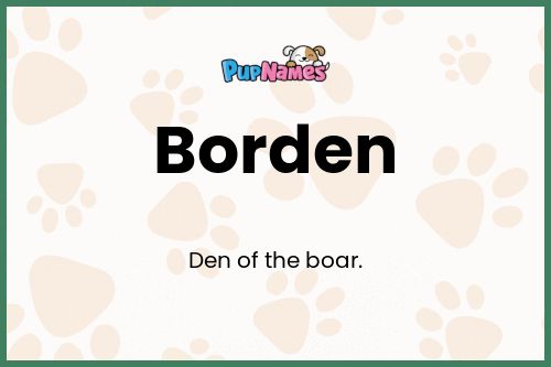 Borden dog name meaning