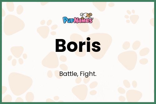 Boris dog name meaning