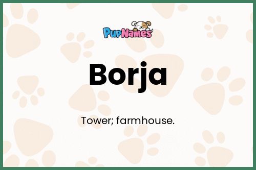 Borja dog name meaning