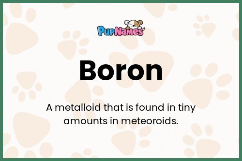 Boron dog name meaning