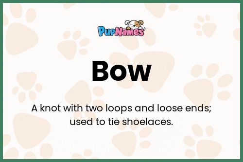 Bow dog name meaning