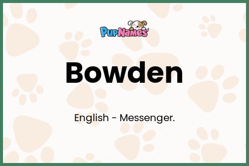 Bowden dog name meaning