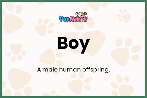 Boy dog name meaning