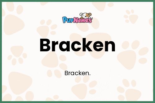 Bracken dog name meaning