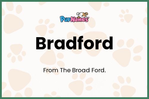 Bradford dog name meaning