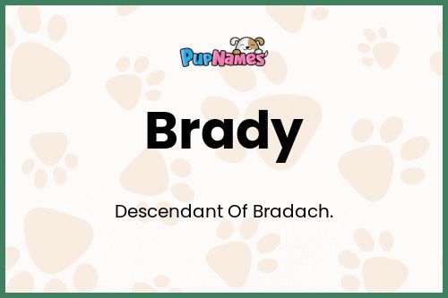 Brady dog name meaning