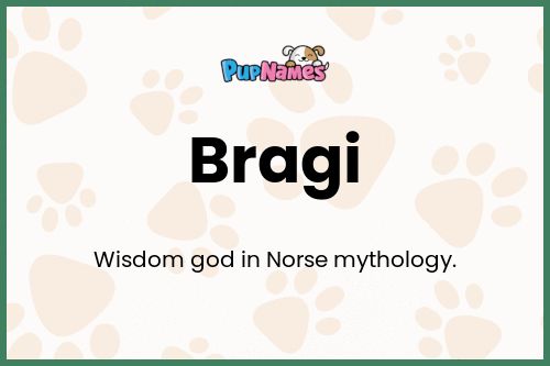 Bragi dog name meaning