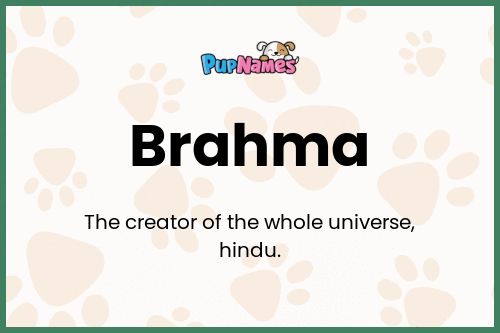 Brahma dog name meaning