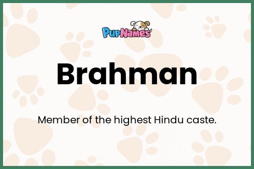 Brahman dog name meaning