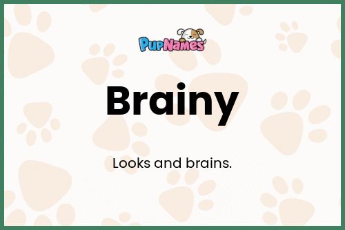 Brainy dog name meaning