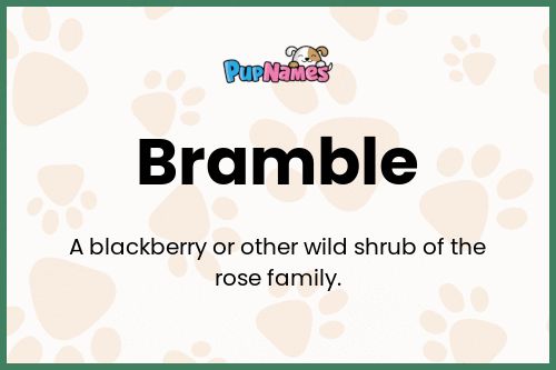 Bramble dog name meaning