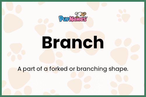 Branch dog name meaning