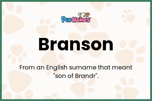 Branson dog name meaning