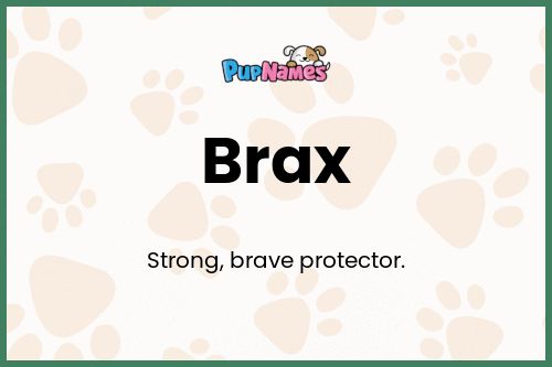 Brax dog name meaning