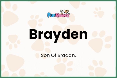 Brayden dog name meaning