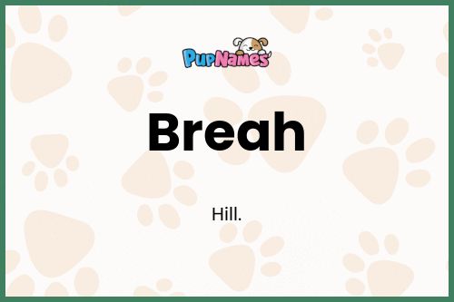 Breah dog name meaning