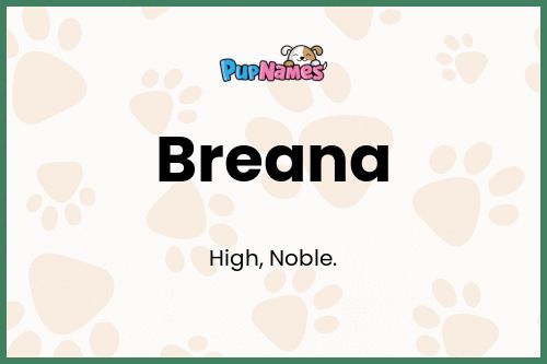 Breana dog name meaning