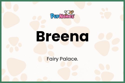 Breena dog name meaning