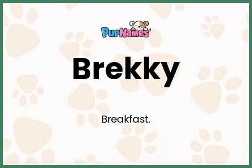 Brekky dog name meaning