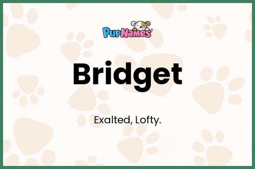 Bridget dog name meaning