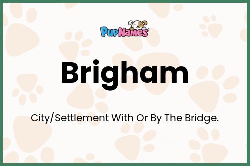 Brigham dog name meaning