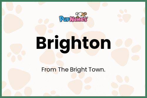 Brighton dog name meaning