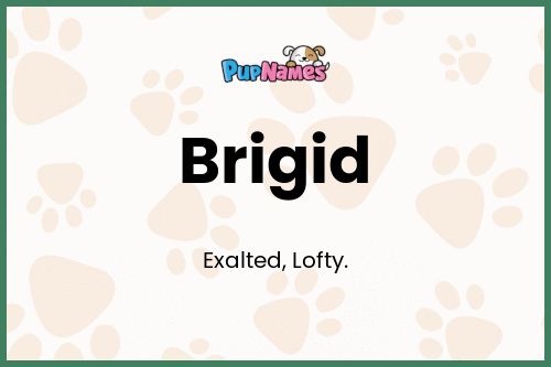 Brigid dog name meaning