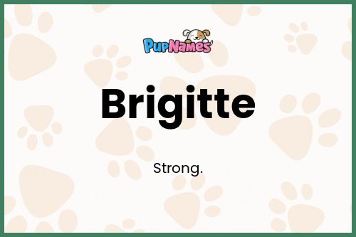 Brigitte dog name meaning