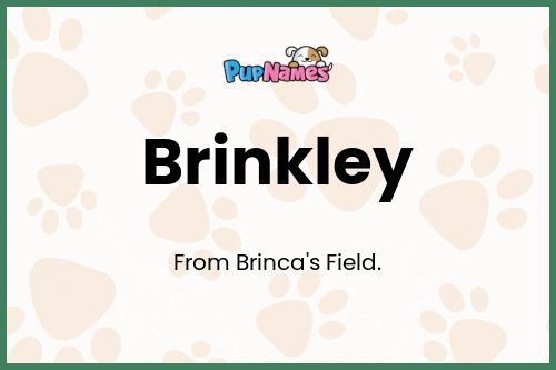 Brinkley dog name meaning