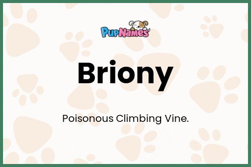 Briony dog name meaning