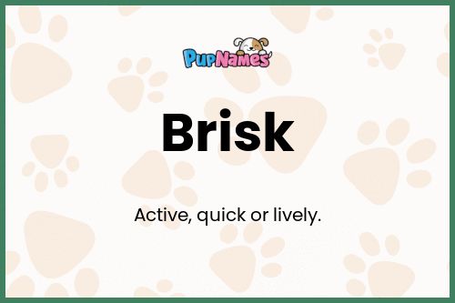 Brisk dog name meaning