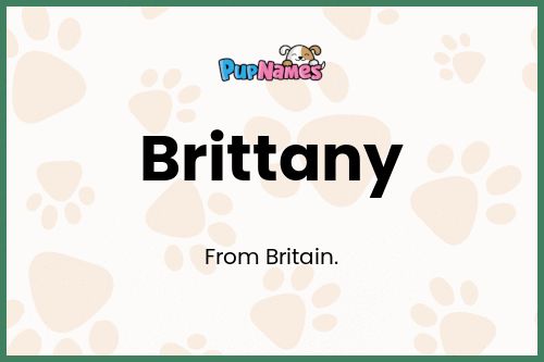 Brittany dog name meaning