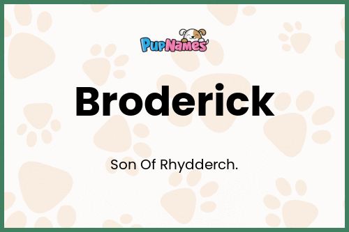 Broderick dog name meaning