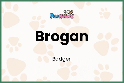 Brogan dog name meaning