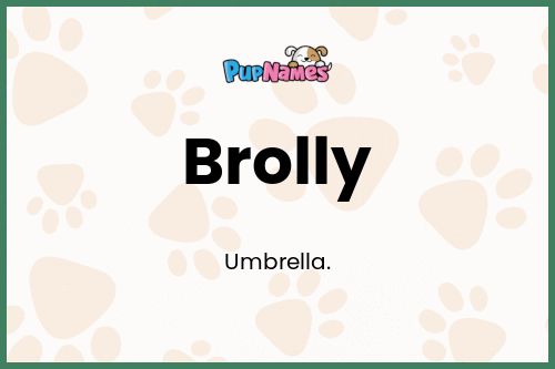 Brolly dog name meaning