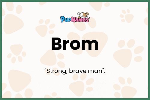 Brom dog name meaning