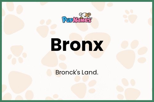 Bronx dog name meaning