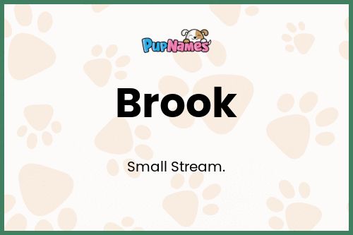 Brook dog name meaning