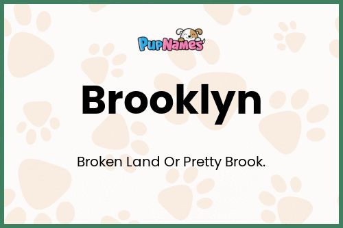 Brooklyn dog name meaning