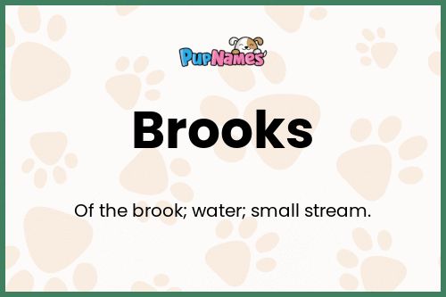 Brooks dog name meaning