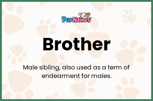 Brother dog name meaning