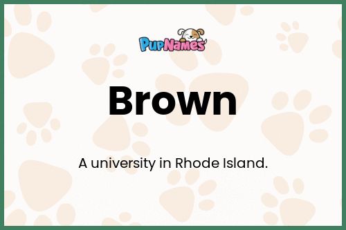 Brown dog name meaning