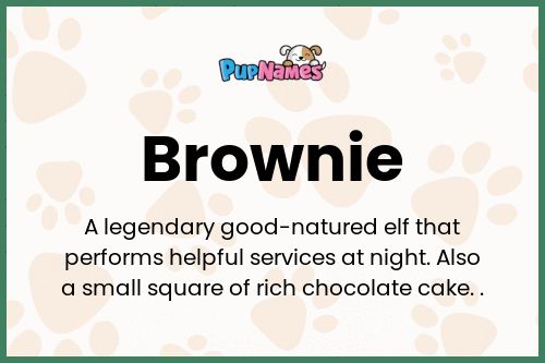 Brownie dog name meaning