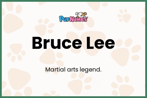 Bruce Lee dog name meaning